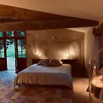 Maison Droles D'oiseaux