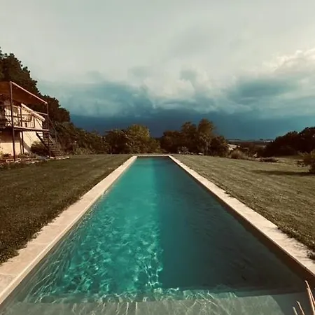 Maison Droles D'oiseaux