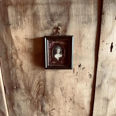 Maison Droles D'oiseaux Affittacamere Plieux