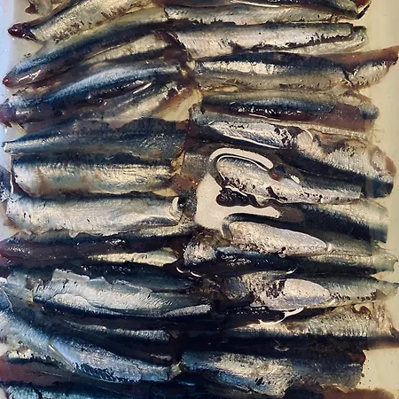 Affittacamere Maison Droles D'oiseaux