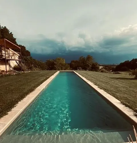 Maison Droles D'oiseaux