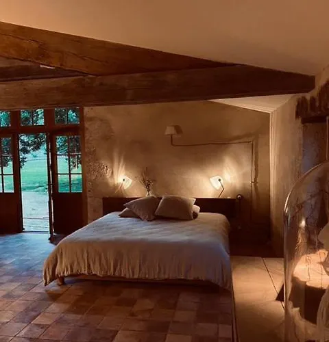 Maison Droles D'oiseaux