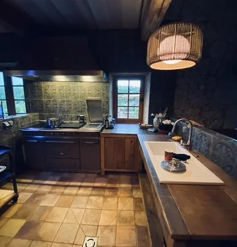 Maison Droles D'oiseaux Plieux