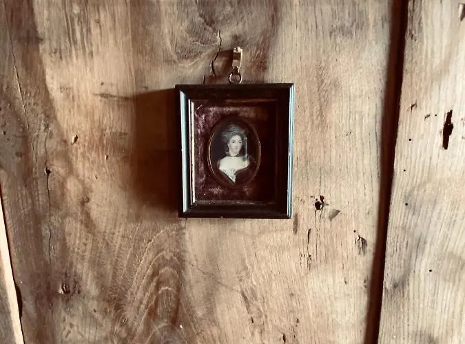 Maison Droles D'oiseaux Affittacamere Plieux