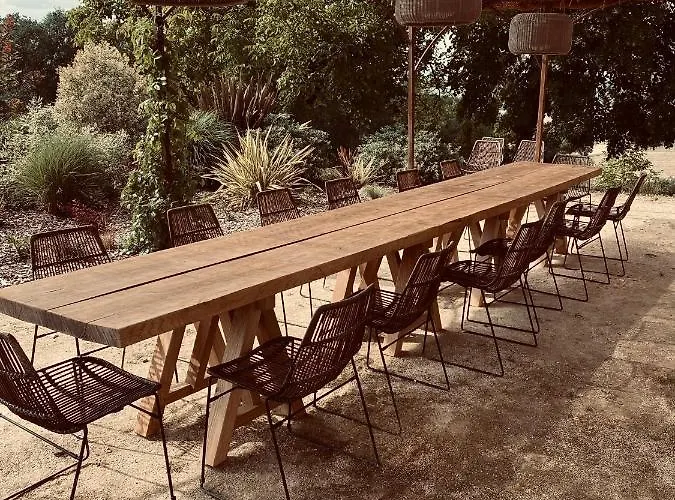 Maison Droles D'oiseaux