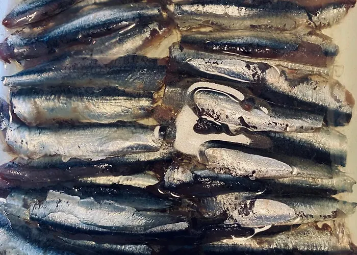 Affittacamere Maison Droles D'oiseaux