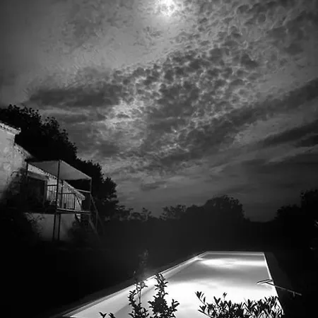 Maison Droles D'oiseaux 3* Plieux