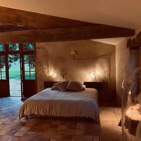 Maison Droles D'oiseaux