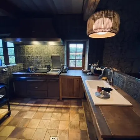 Maison Droles D'oiseaux Plieux