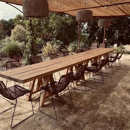 Maison Droles D'oiseaux