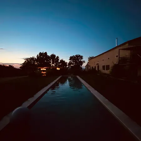 Maison Droles D'oiseaux * Plieux